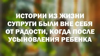 Истории из жизни Супруги были вне себя от радости, когда после усыновления ребенка