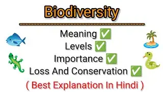 What Is Biodiversity | Levels , Importance , Loss , Conservation Of Biodiversity (In Hindi)