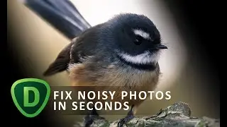 How to fix noisy photos