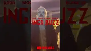 INGA BUZZ available 🔥🔥🔥