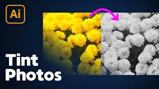 How to Make an Image Black & White in Illustrator