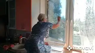 ЖИВЕМ В ДЕРЕВНЕ/ БЕЛАРУСЬ./ Фольга на Окна/ Курочка или петушок, как узнать.