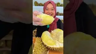 MENYEBRANG SURAMADU DEMI DURIAN YANG ENAK DI SAMPANG!