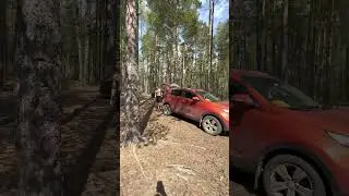 Виды Чудоозера