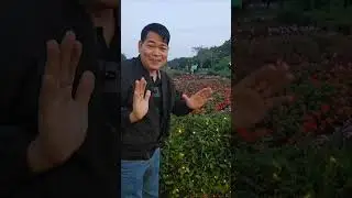 LAVANDER GARDEN, ANG GAGANDA NG MGA FLOWER #gardening #garden