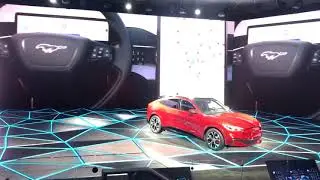 Mustang