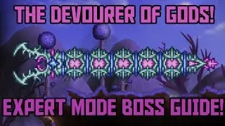 How to Beat the Devourer of Gods in Terraria! -Expert Mode Calamity Mod Boss Guide!