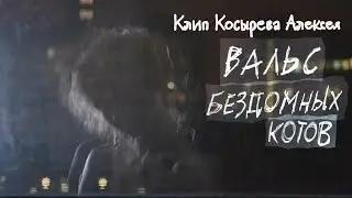 Наташа и кот
