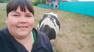 Хороший урожай💓💓💓