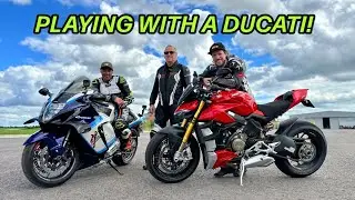 Racing a Ducati Streetfighter V4S, BMW M1000R + Mapped Hayabusa!