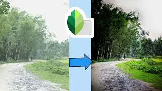 Snapseed Photo Editing 2020 | Snapseed Editing tips | M.S Edits   