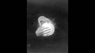 plantcham // experimental type beat - 