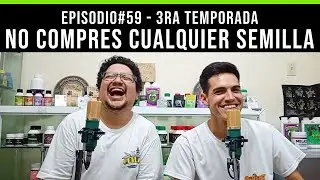 ENROLADOS - EP #59 