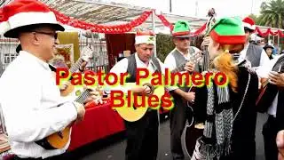Vulcano Blues Pastor Palmero