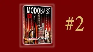 IK Multimedia MODO Bass - обзор #2. Струны, электроника, усилители