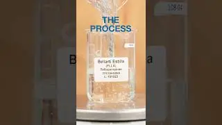 Процесс создания Bellarti