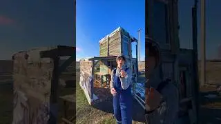 Дом Школьника спустя полгода… #shorts #bushcraft
