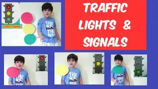 Traffic signals | Traffic lights song for Kids | Red light what do you say