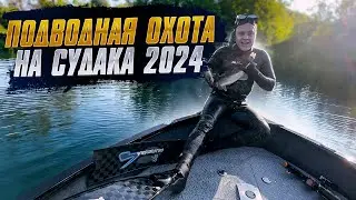 👍Подводная охота август 2024….