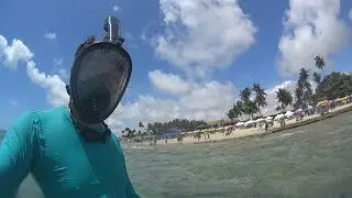 Mergulho Moreia em Porto de Galinhas