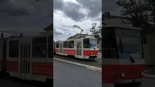 PILSEN | Celebration tram 🚋 near Borský park - 4K #trams