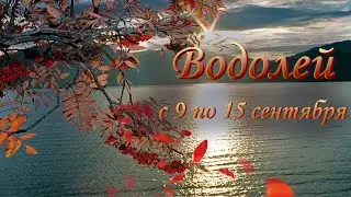 Водолей Таро прогноз на неделю с 9 по 15 сентября 2024 года.
