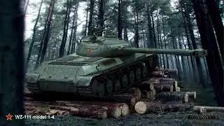 WZ 111 модель 1 4 Иногда что то да может
