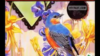 Yotreat Painting Birds game walkthrough- How to play Painting Birds Game