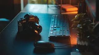 Film Camera for Filmmaker | What can you learn by having one?