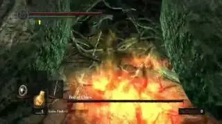 How to Kill the Bed of Chaos Bug NG+