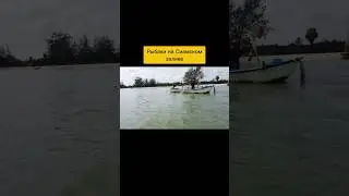 Путешествие по Сиамскому заливу: «Диалоги о рыбалке». Полное видео - на канале.