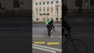 Айда со мной по Невскому проспекту! 