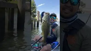 Absolutely shook 🎣 #fishing