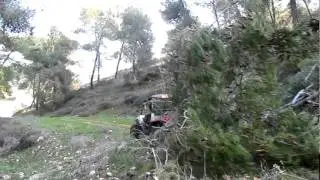 חבורת פולריס בשרות קק"ל, פינוי צירים ביער ברעם 2