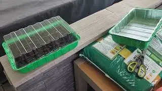 COMMENT BIEN PLANTER SEMIS DE GRAINE LAITUES POMMÉE APPIA