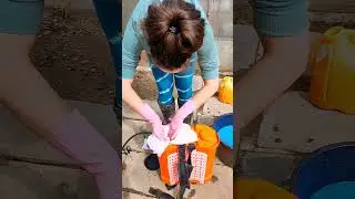 Обрезка старого плодового сада 