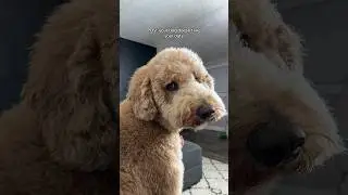 He has the final say 