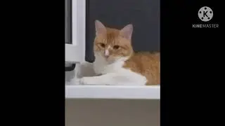 7 ноября 2020 г.