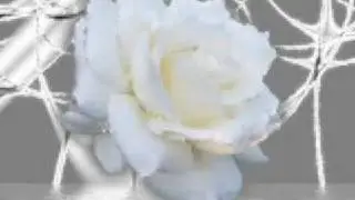 Путь к сердцу