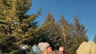 ambient bird sounds / sit on a rock with me