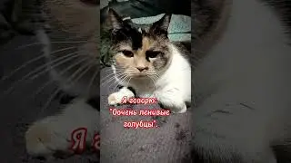 Голубцы😂 