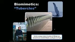 Bio 102 Unit IV 08