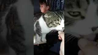 СМЕШНЫЕ КОТЫ 2021#Кот и валерианка#слюни летят.