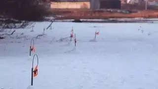 БЕСКОНЕЧНЫЙ КЛЕВ ЩУКИ НА ЖЕРЛИЦУ (ФЛАЖКИ)!!!!! р. Волга
