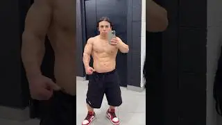 Hulk-Hasbulla?МиниХалк😂 funny memes minihulk ufc fight trending 