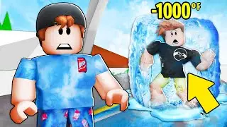 I Survived The FREEZE In Brookhaven RP!!