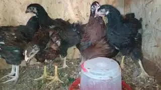 Ливенская молодёжь