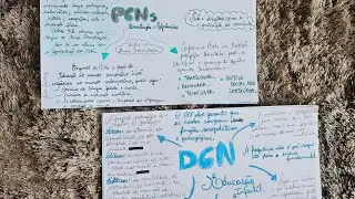 Entenda as DCN's e os PCN's: Resumos Pedagógicos para Concursos 📚