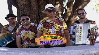 Os Pernambuquês -  Me tira desse tédio