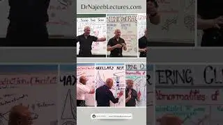 Dr Najeeb